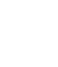 NS-Icon