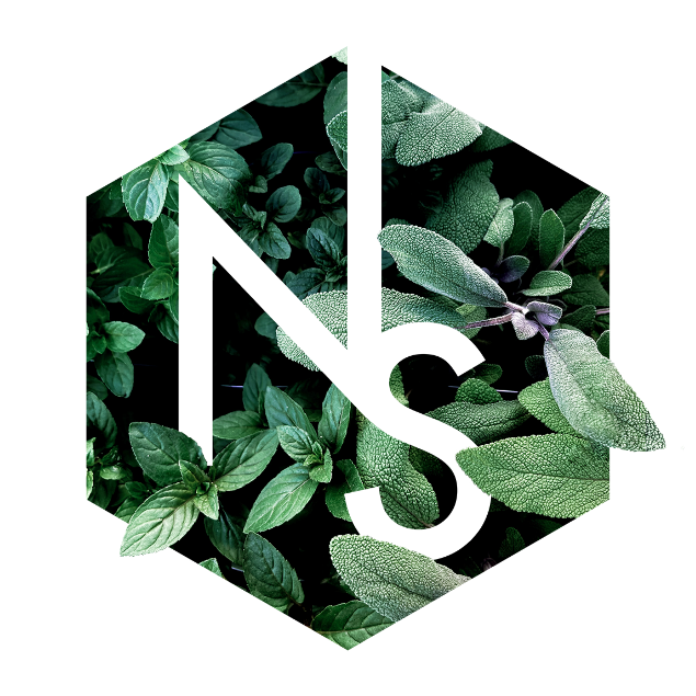 NS_Graphic-Transparent-hex
